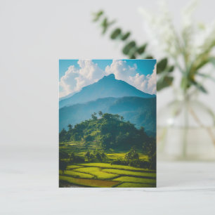 Reisfelder am Fuße des Berges Postkarte