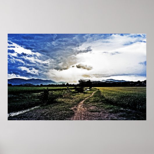 Reisfelder auf dem Weg Poster (Vorne)