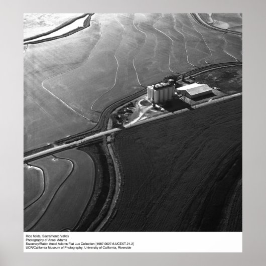 Reisfelder, Sacramento-Tal, von Ansel Adams Poster (Vorne)