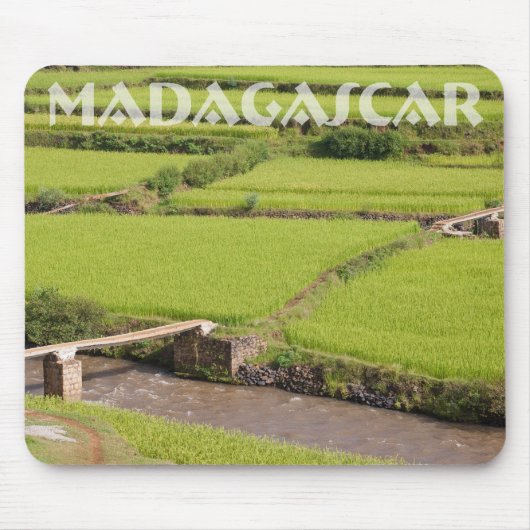 Reisfeldlandschaft in Madagaskar Mousepad (Vorne)