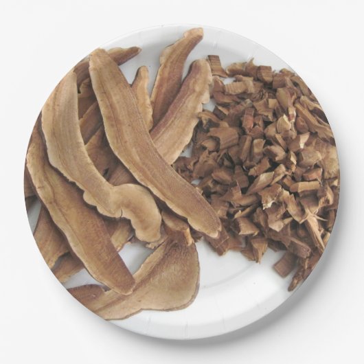 Reishi Mushroom Paper Plate Pappteller (Vorderseite)