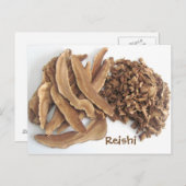 Reishi Mushroom Postkarte (Vorne/Hinten)
