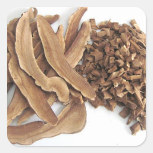 Reishi Mushroom Sticker