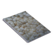 Reiskuchen, gesunde Ernährung, weißer Imbiss Notizblock (Rechte Seite)