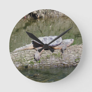 Reißende Schildkröte Runde Wanduhr