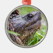 Reißende Schildkröte Silbernes Ornament (Vorne)