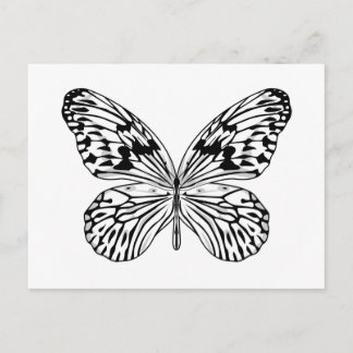 Reißpapier Schmetterling Postkarte