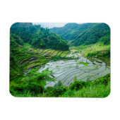 Reißterrasse, Philippinen Magnet (Horizontal)