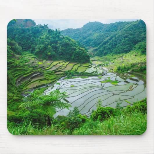 Reisterrasse, Philippinen Mousepad (Vorne)