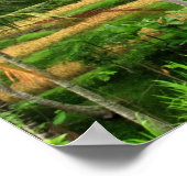 Reisterrassen in Bali Poster Print (Ecke)