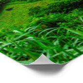 Reisterrassen-Landschaft, Philippinen Poster (Ecke)