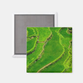 Reisterrassen Magnet (Vorderseite/Rückseite)