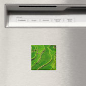 Reisterrassen Magnet (In Situ (Geschirrspüler))