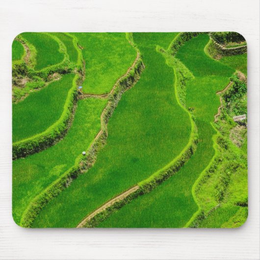 Reisterrassen Mousepad (Vorne)