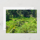 Reisterrassen von Bali, Indonesien Postkarte (Vorne/Hinten)