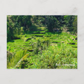 Reisterrassen von Bali, Indonesien Postkarte (Vorderseite)
