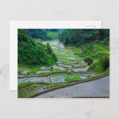 Reisterrassen von Banaue, Luzon Postkarte (Vorne/Hinten)