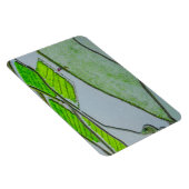Reisterrassen von Luzon Magnet (Rechte Seite)