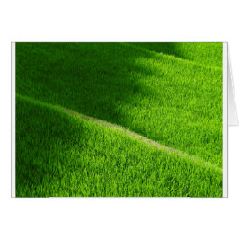 Reisterrassen Yamadas Reisfelder Japan