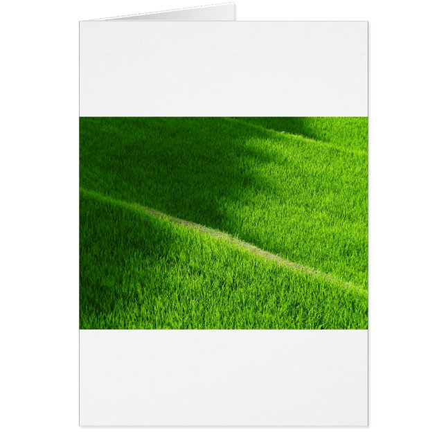 Reisterrassen Yamadas Reisfelder Japan (Vorne)