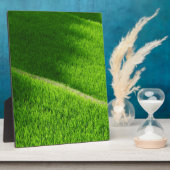 Reisterrassen Yamadas Reisfelder Japan Fotoplatte (Seite)