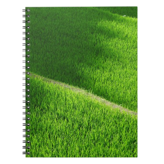 Reisterrassen Yamadas Reisfelder Japan Notizblock (Vorderseite)