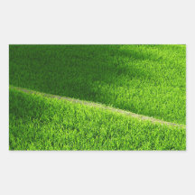 Reisterrassen Yamadas Reisfelder Japan