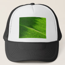 Reisterrassen Yamadas Reisfelder Japan