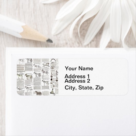 Reitantike Werbung Kunst (Insitu)