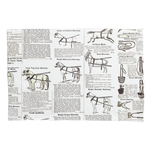 Reitantike Werbung Kunst Kissenbezug (Vorderseite)