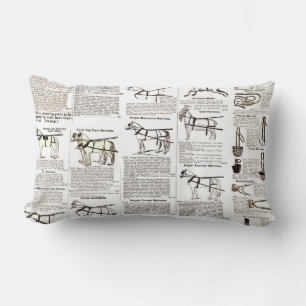 Reitantike Werbung Kunst Lendenkissen