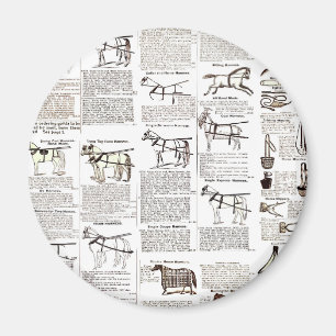 Reitantike Werbung Kunst Magnet