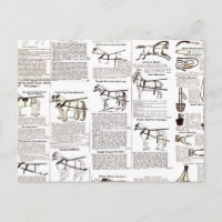 Reitantike Werbung Kunst