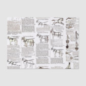 Reitantike Werbung Kunst Seidenpapier (Vorderseite)