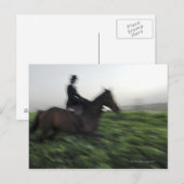 Reiten auf grünem Feld. Reitweibchen Postkarte (Vorne/Hinten)