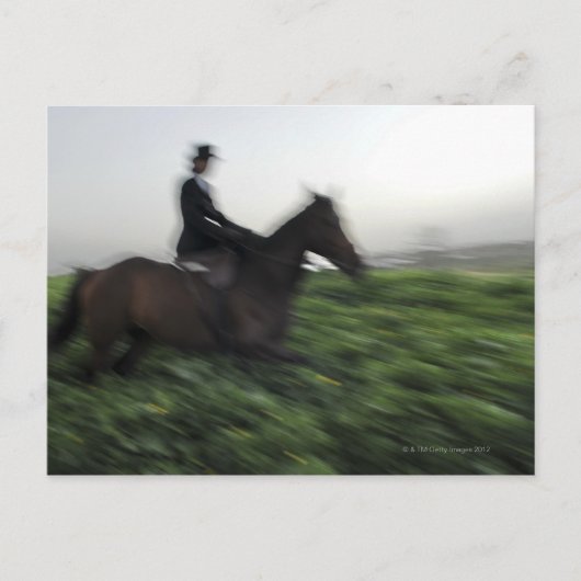 Reiten auf grünem Feld. Reitweibchen Postkarte (Vorderseite)