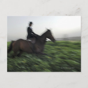 Reiten auf grünem Feld. Reitweibchen Postkarte