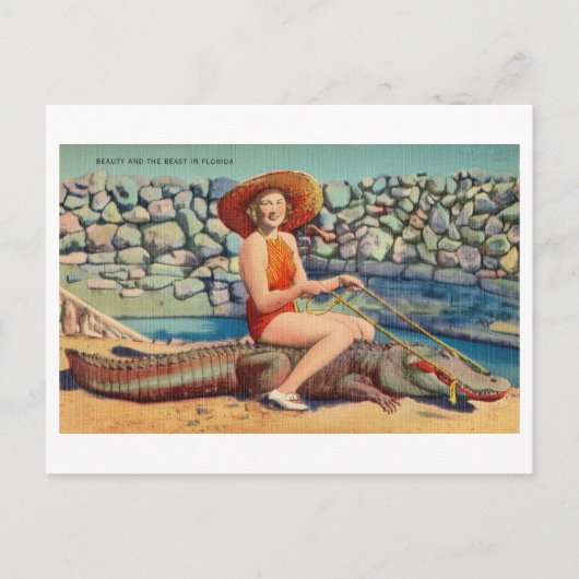 Reiten bei Alligator Vintag Florida Postkarte (Vorderseite)