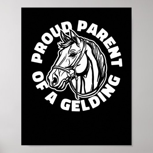 Reiten Gelding - Reiten Poster (Vorne)