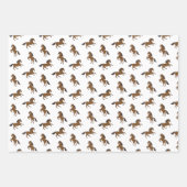 Reiten Geschenkpapier Set (Vorderseite)