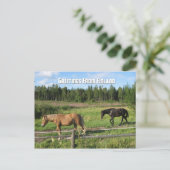Reiten in der finnischen Landschaft Postkarte (Stehend Vorderseite)