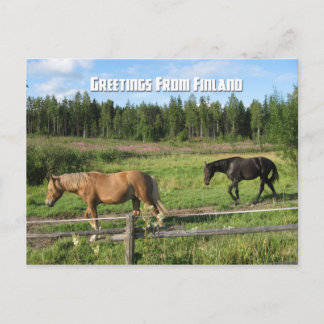 Reiten in der finnischen Landschaft Postkarte