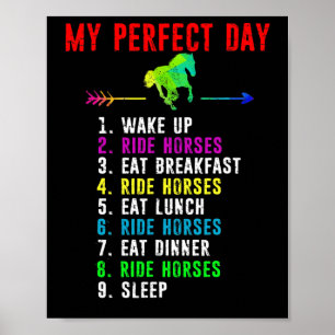 Reiten Lover Shirt Reiten Poster