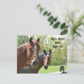 Reiten Postkarte (Stehend Vorderseite)
