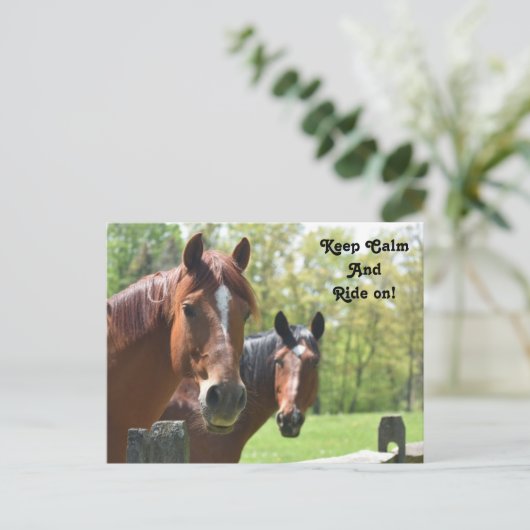 Reiten Postkarte (Stehend Vorderseite)