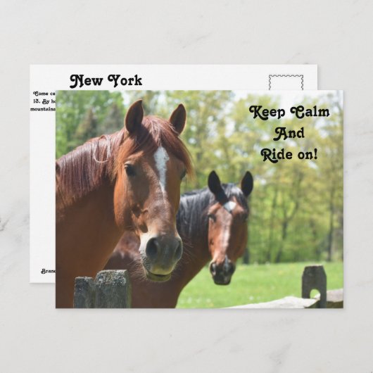 Reiten Postkarte (Vorne/Hinten)