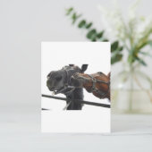 Reiten Postkarte (Stehend Vorderseite)