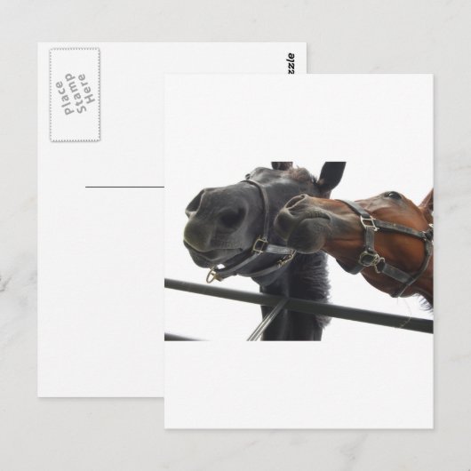 Reiten Postkarte (Vorne/Hinten)