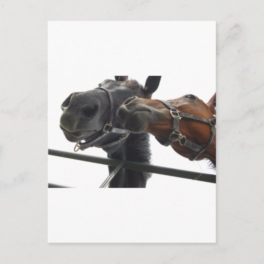 Reiten Postkarte (Vorderseite)