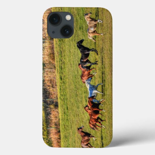 Reitende Reittier- und Reitwiesen Reittiere Foto Case-Mate iPhone Hülle (Rückseite)